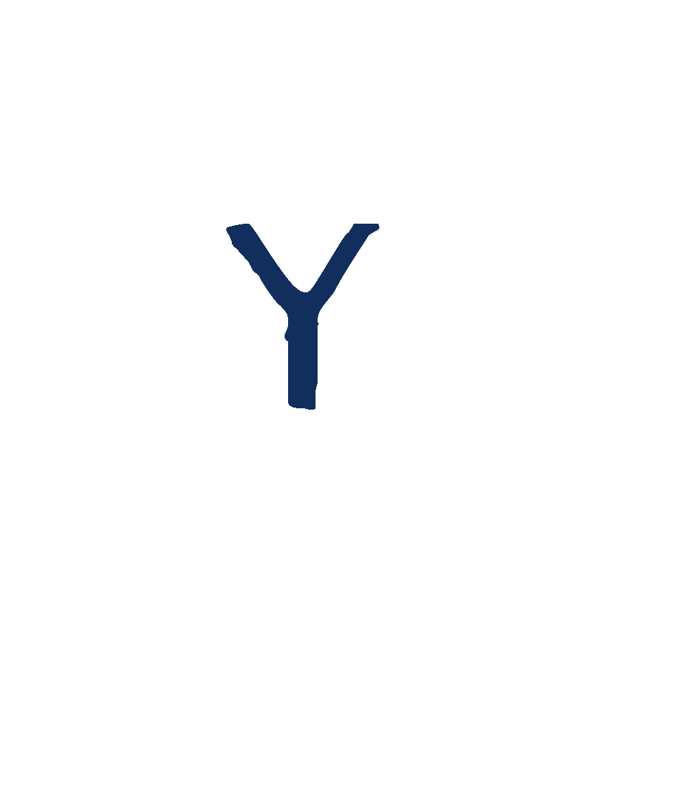 YouSpace